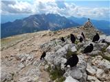 Passo di Costalunga / Karerpass - Roda di Vael / Rotwand